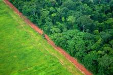 Eine Luftaufnahme zeigt den Kontrast zwischen Wald und Landwirtschaft in der Nähe des Rio Branco, Acre, Brasilien.