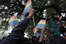 Arms reach out of a group of protesters in India and wave various LGBTI flags under a big tree.